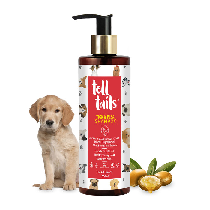 TICK & FLEA DOG SHAMPOO
