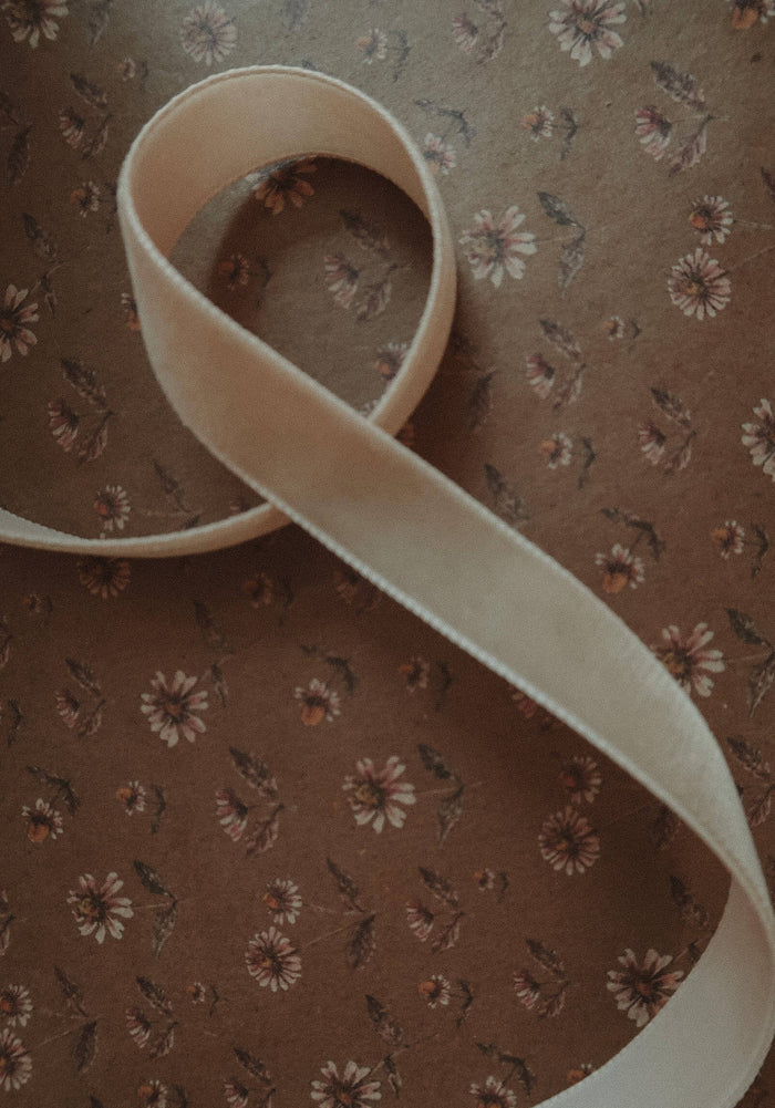 Velvet ribbon BEIGE length 2,5m/width 16mm - Magnolia Lane co. Home + Garden + Gift