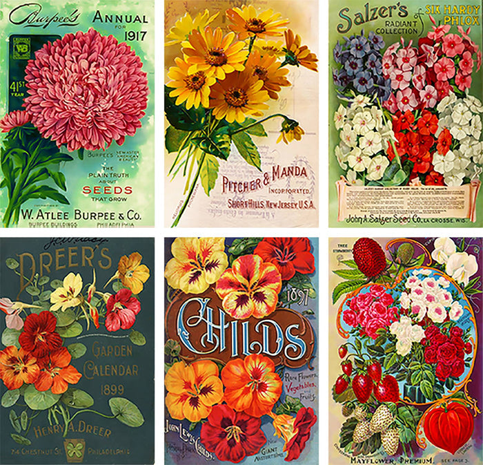 Vintage Seeds Flowers Roses Mini Matchbox