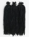 X-Pression Twisted Up Springy Afro Twist 24"