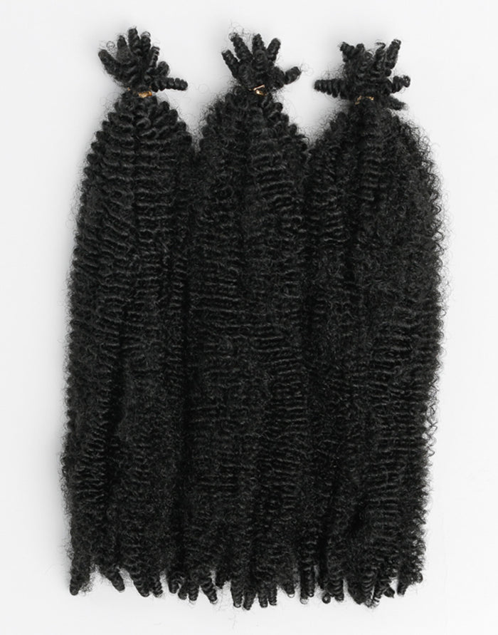 X-Pression Twisted Up Springy Afro Twist 24"