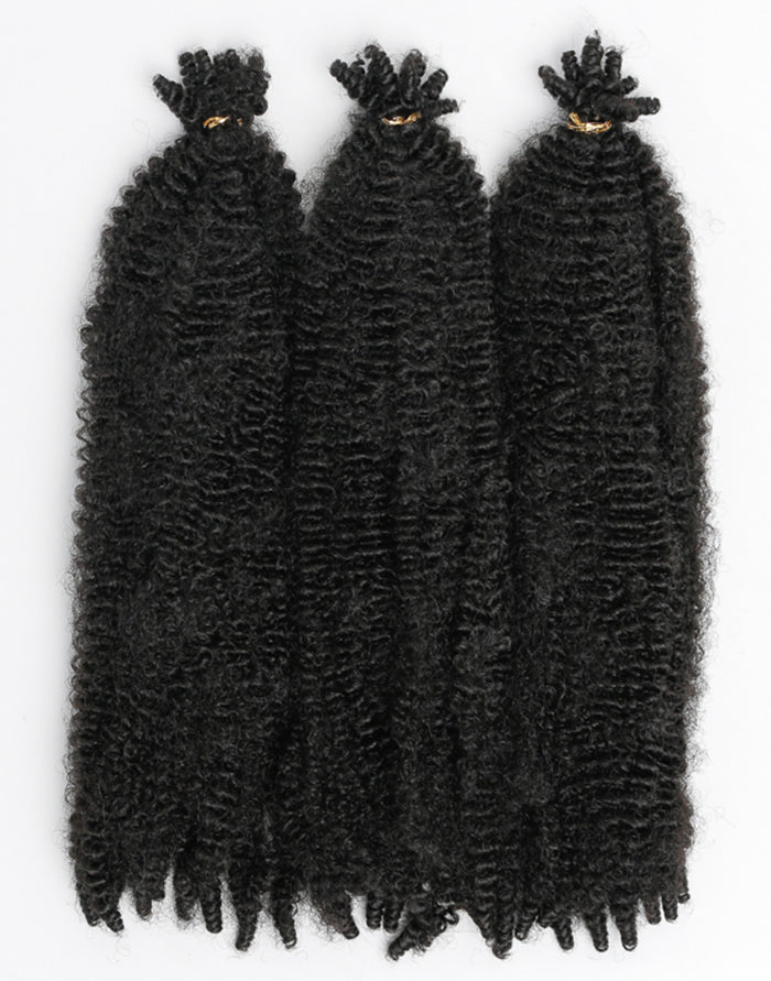 X-Pression Twisted Up Springy Afro Twist 24"