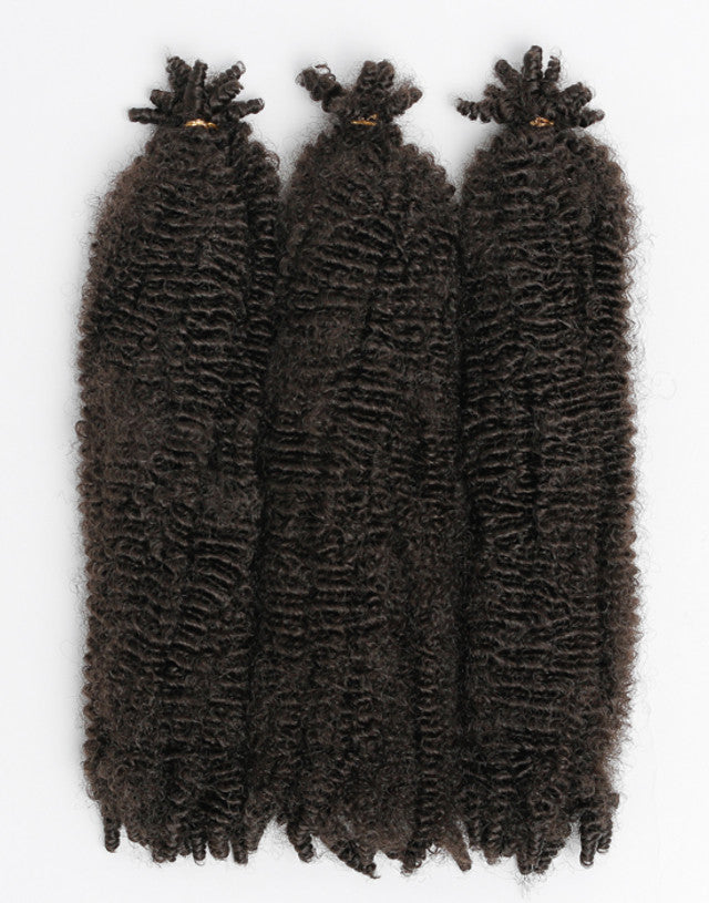 X-Pression Twisted Up Springy Afro Twist 24"
