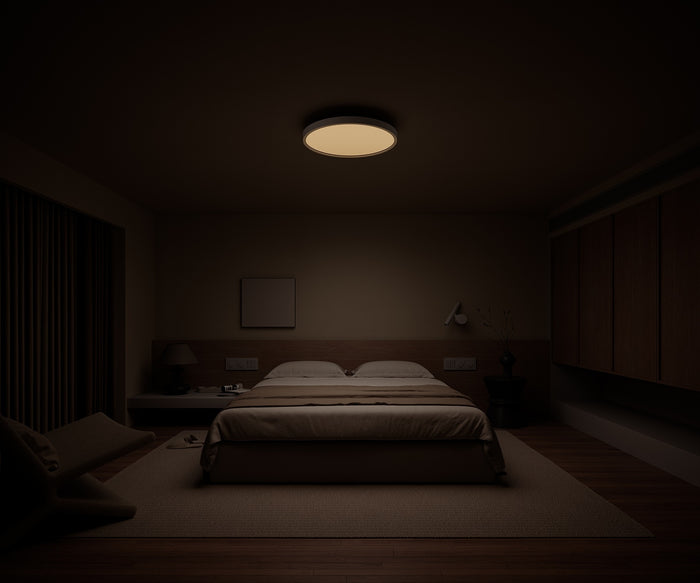 Xiaomi Smart Ceiling Light D30